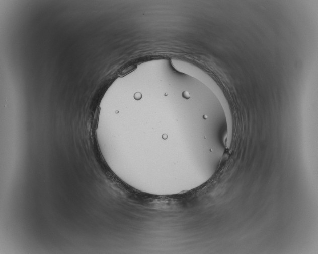 X0000111840415200908201221