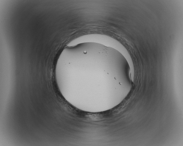 X0000111840417200908201221