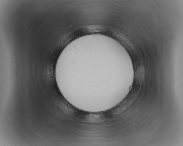 X0000111840418200908201221