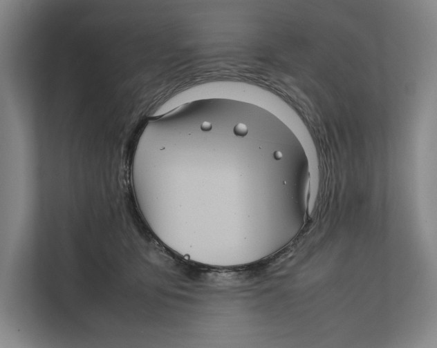 X0000111840419200908201221