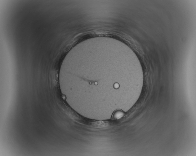 X0000111840421200908201220