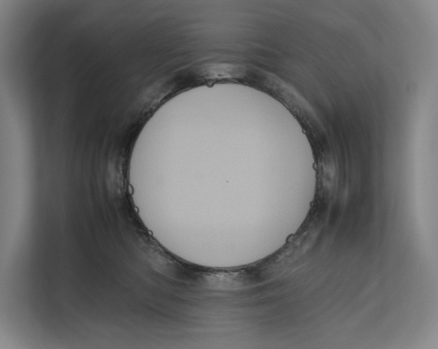 X0000111840422200908201220