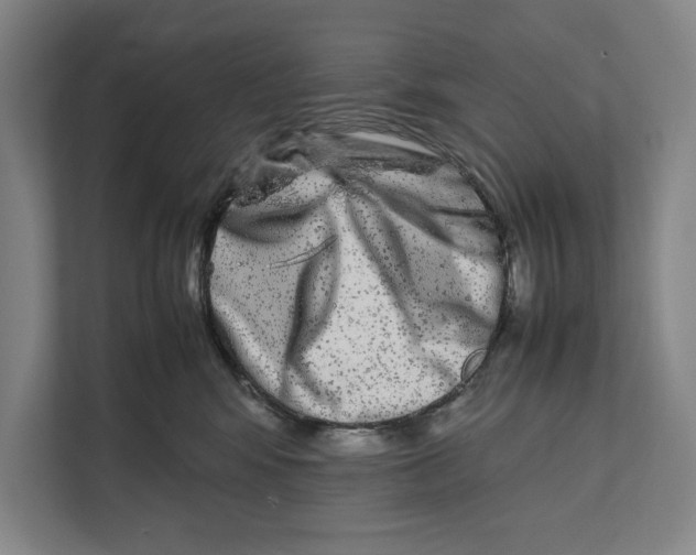 X0000111840424200908201220