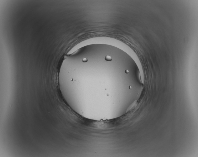 X0000111840425200908201220