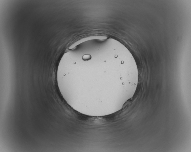 X0000111840427200908201220