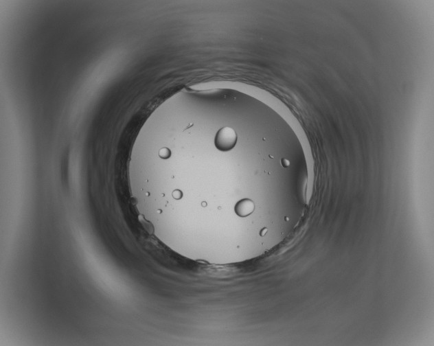 X0000111840429200908201220