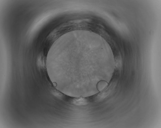 X0000111840431200908201220