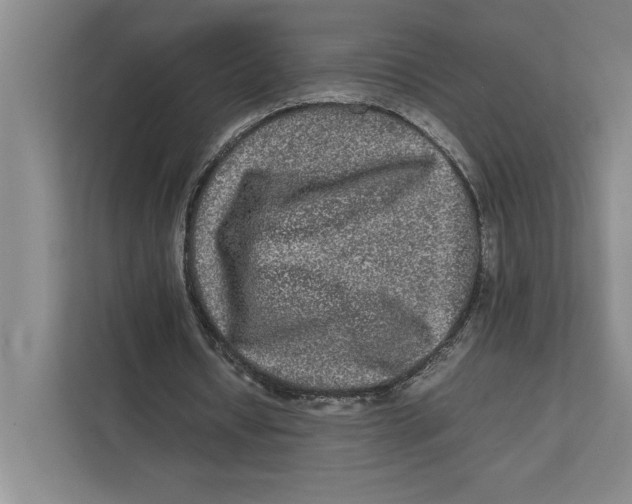 X0000111840434200908201220