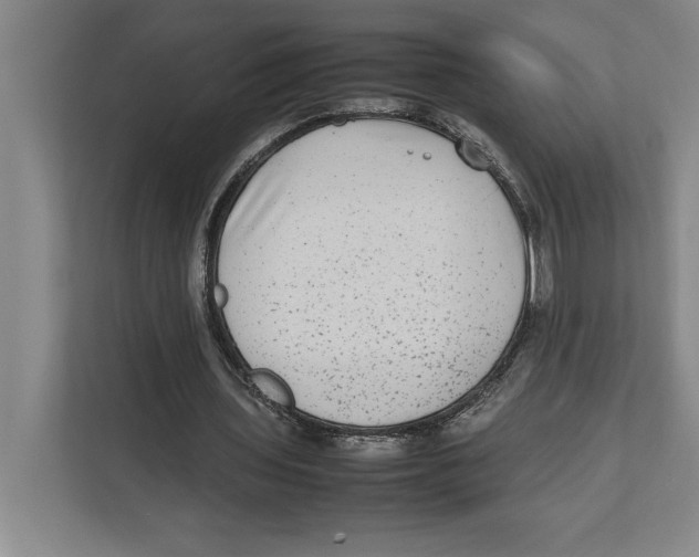 X0000111840435200908201220