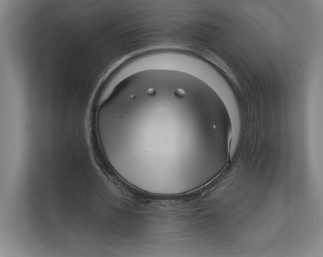 X0000111840436200908201220