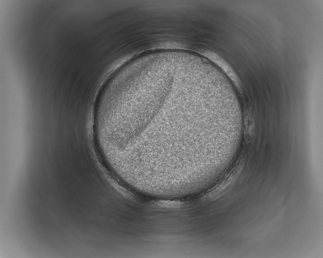 X0000111840437200908201220