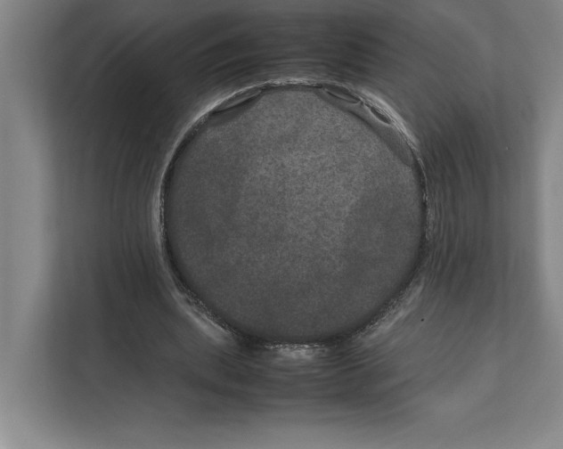 X0000111840439200908201220