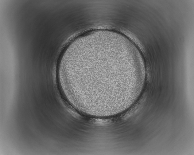 X0000111840442200908201220