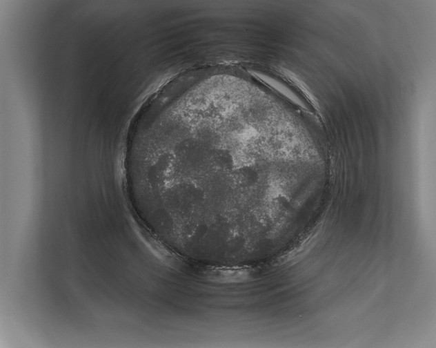 X0000111840443200908201220