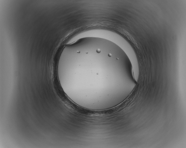 X0000111840444200908201220