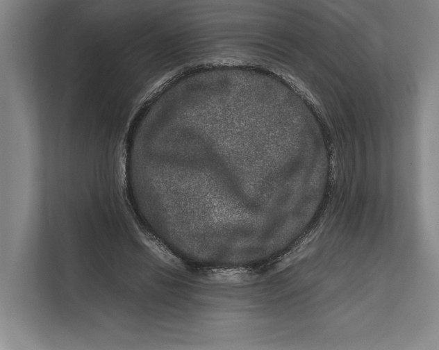 X0000111840446200908201220