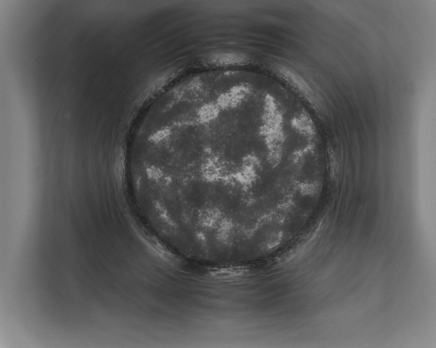 X0000111840447200908201220