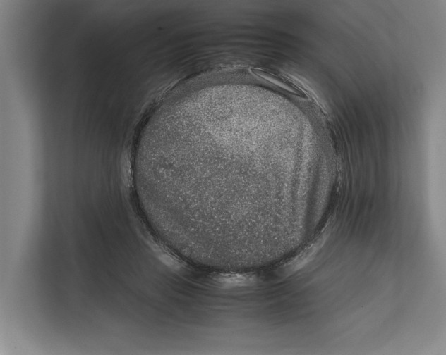 X0000111840453200908201220