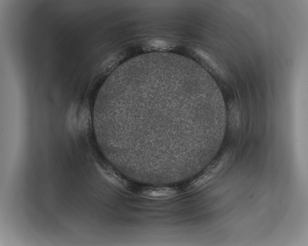 X0000111840459200908201220