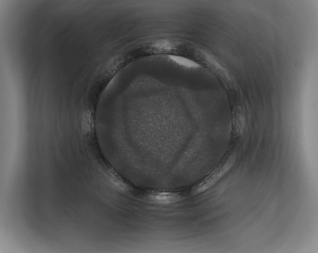 X0000111840467200908201220