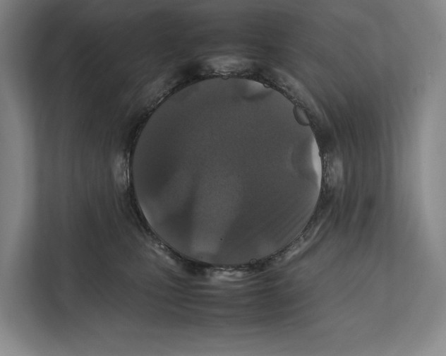 X0000111840471200908201220