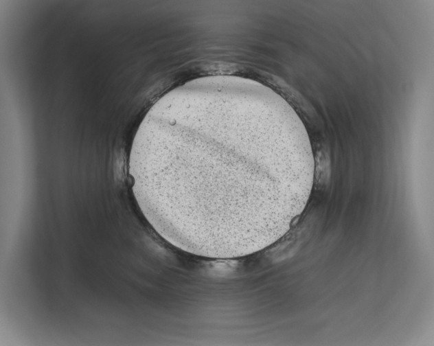 X0000111840474200908201220