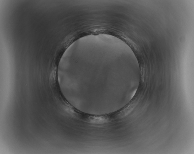 X0000111840475200908201220