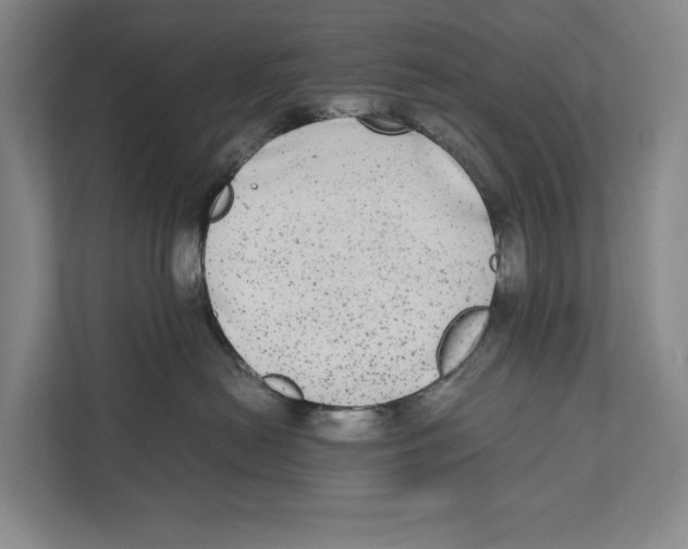 X0000111840478200908201220