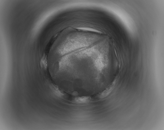 X0000111840479200908201220