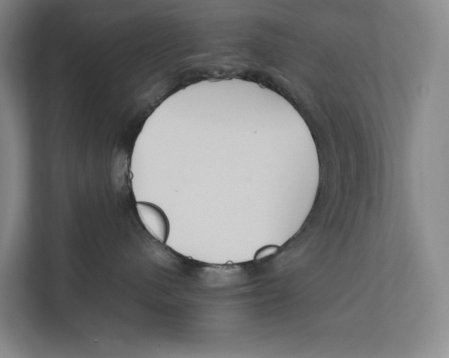 X0000111840480200908201220