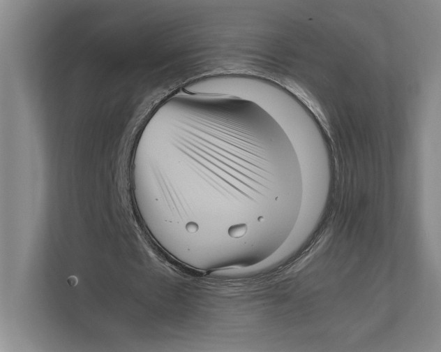 X0000111840481200908201220