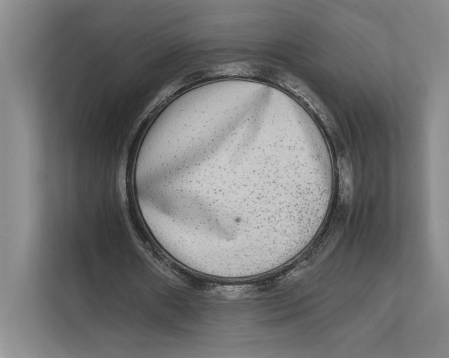 X0000111840482200908201220