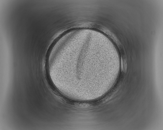 X0000111840483200908201220