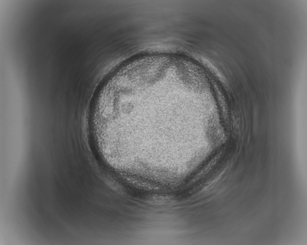 X0000111840487200908201220