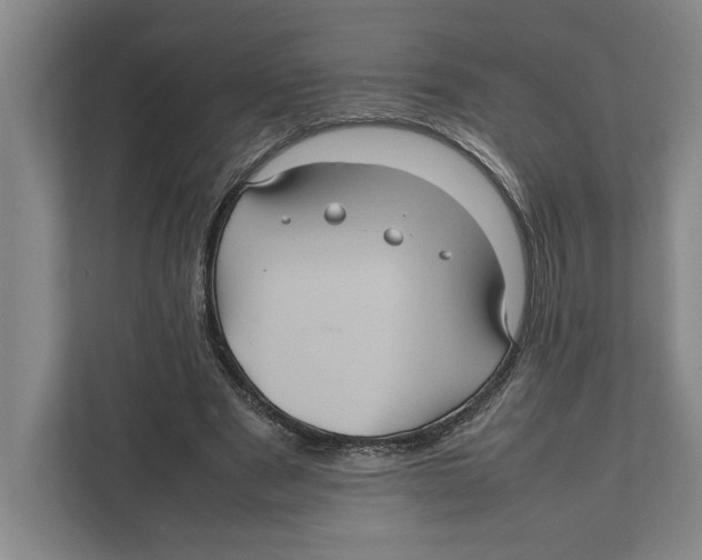 X0000111840489200908201220