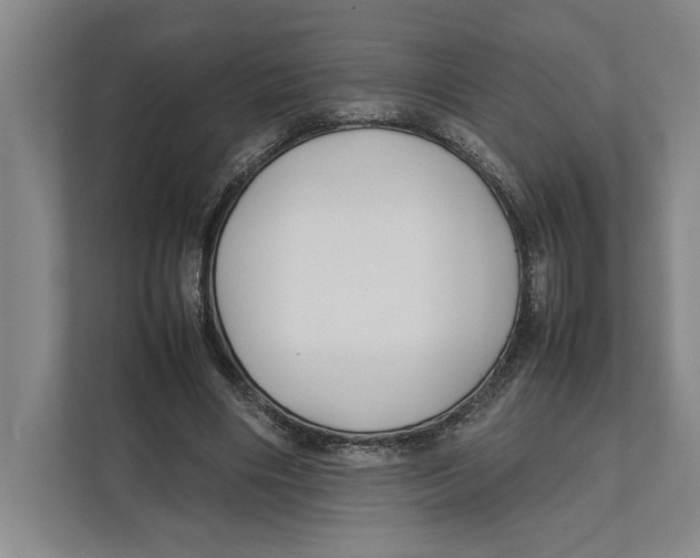 X0000111840490200908201220