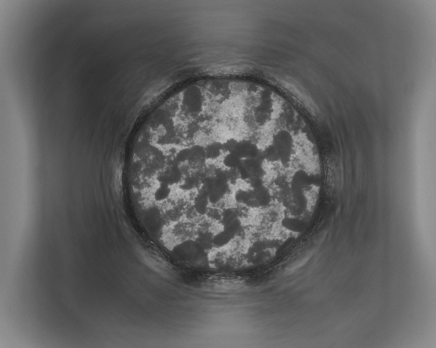 X0000111840491200908201220