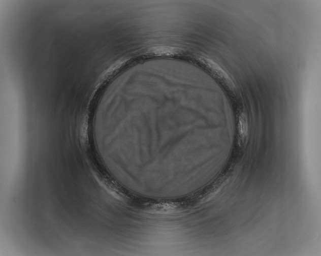 X0000111840492200908201220