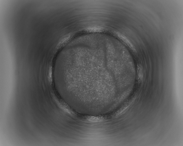 X0000111840494200908201220