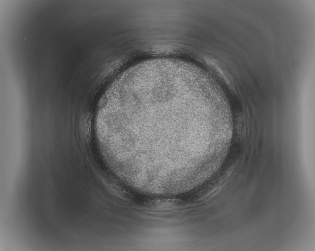 X0000111840495200908201220