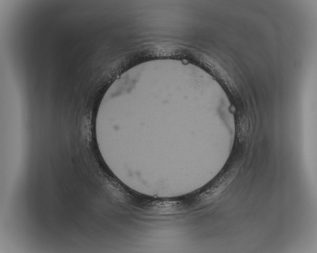 X0000111840497200908201219