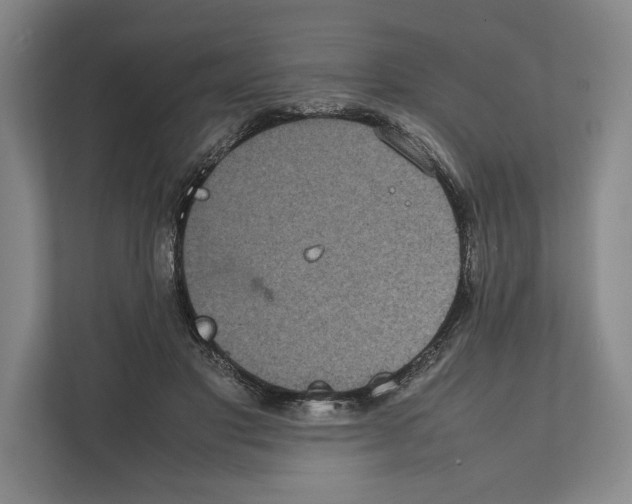 X0000111840501200908201219