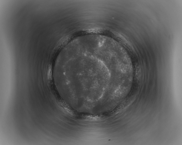 X0000111840502200908201219