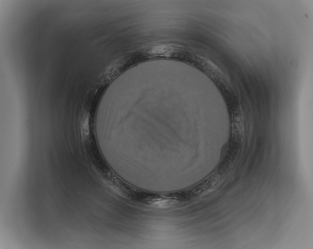 X0000111840504200908201219