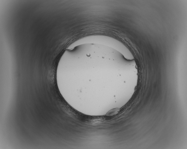 X0000111840505200908201219