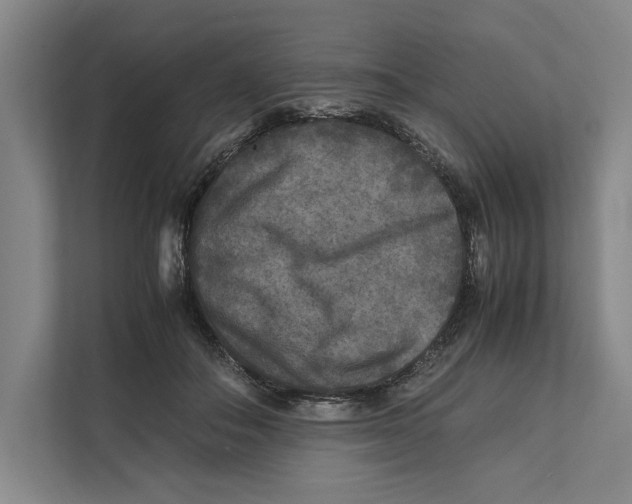 X0000111840506200908201219