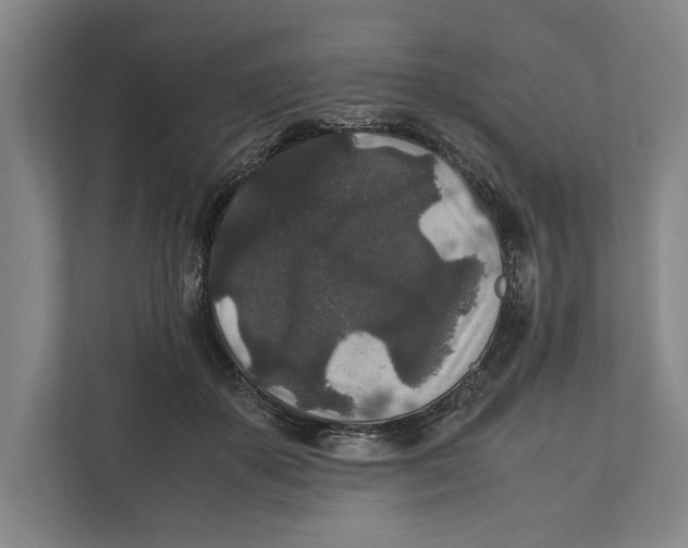 X0000111840507200908201219