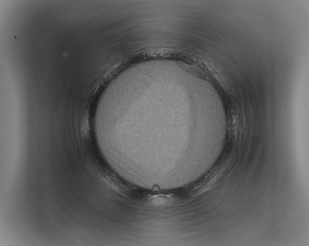 X0000111840508200908201219