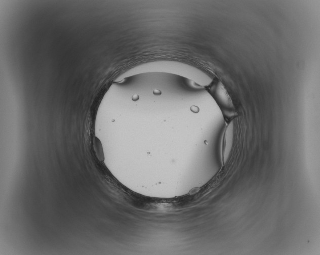 X0000111840509200908201219