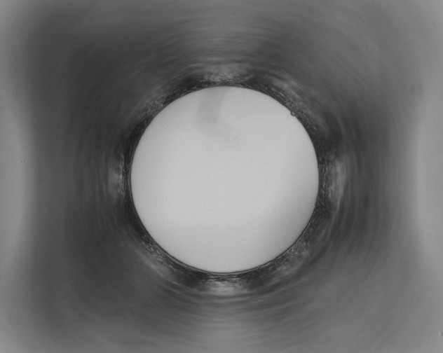 X0000111840510200908201219